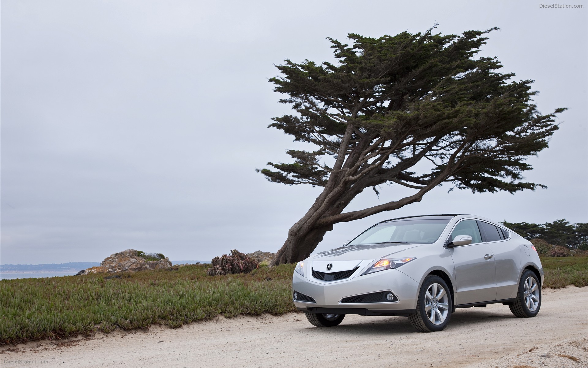 Acura ZDX(2010)
