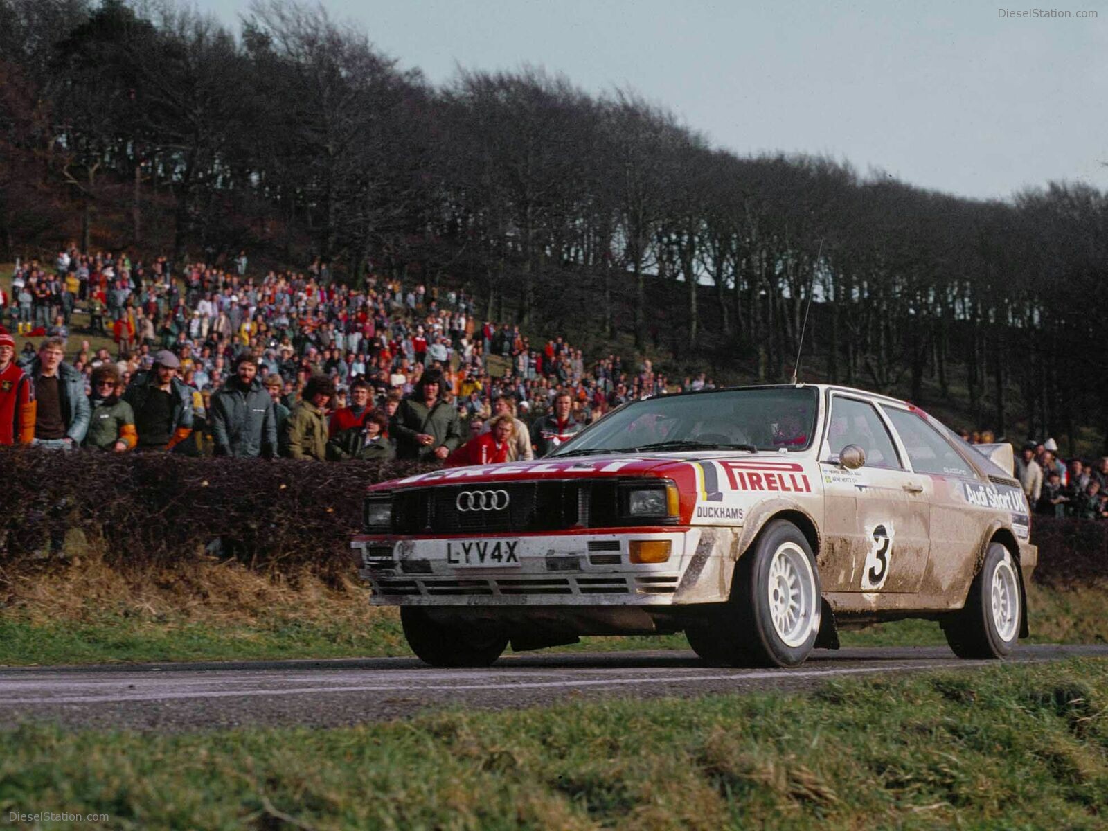 Audi Motorsport