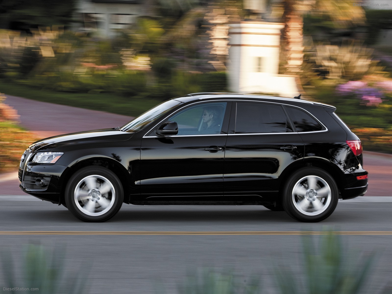2010 Audi Q5