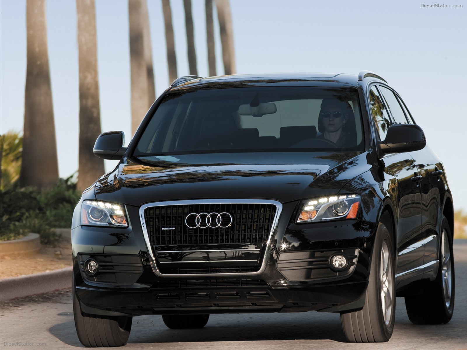 2010 Audi Q5