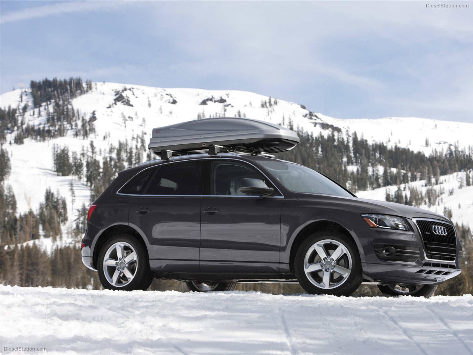 2010 Audi Q5
