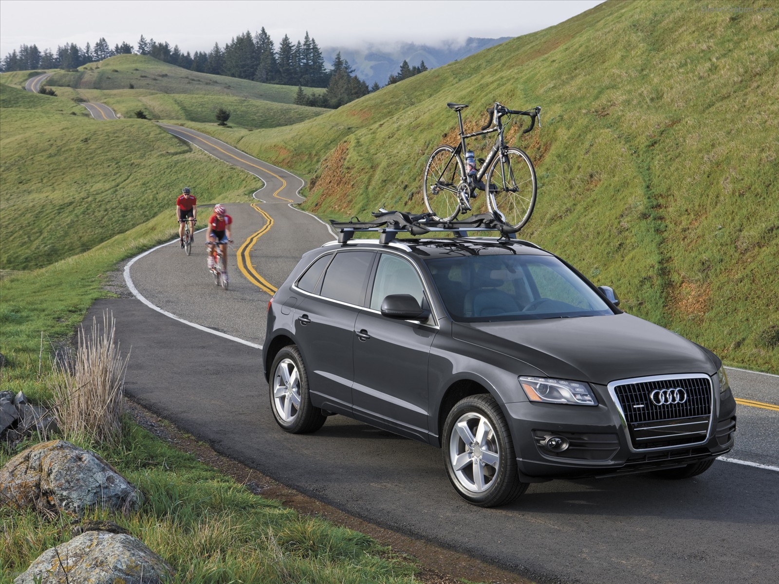 2010 Audi Q5