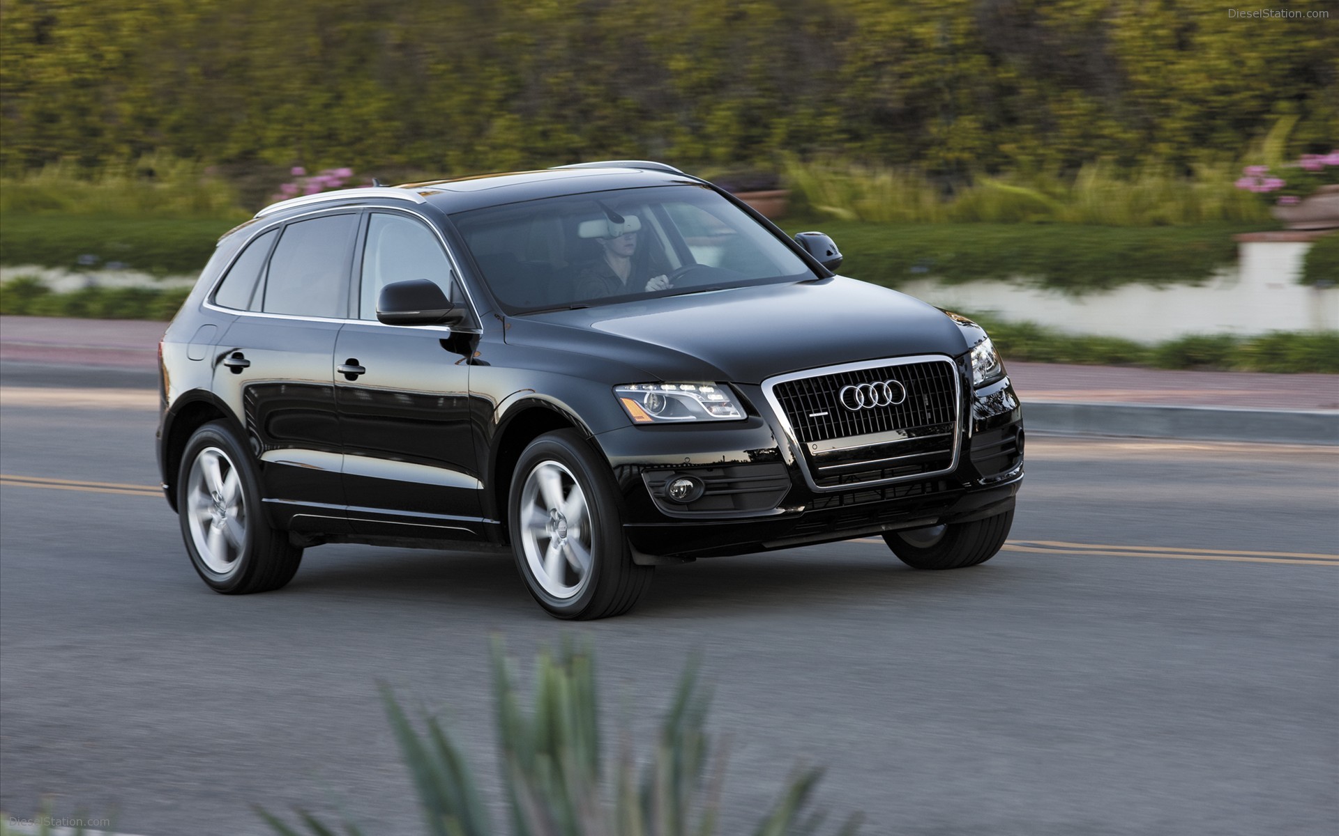 2010 Audi Q5