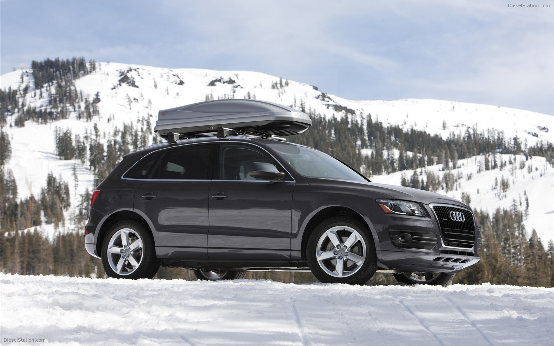 2010 Audi Q5