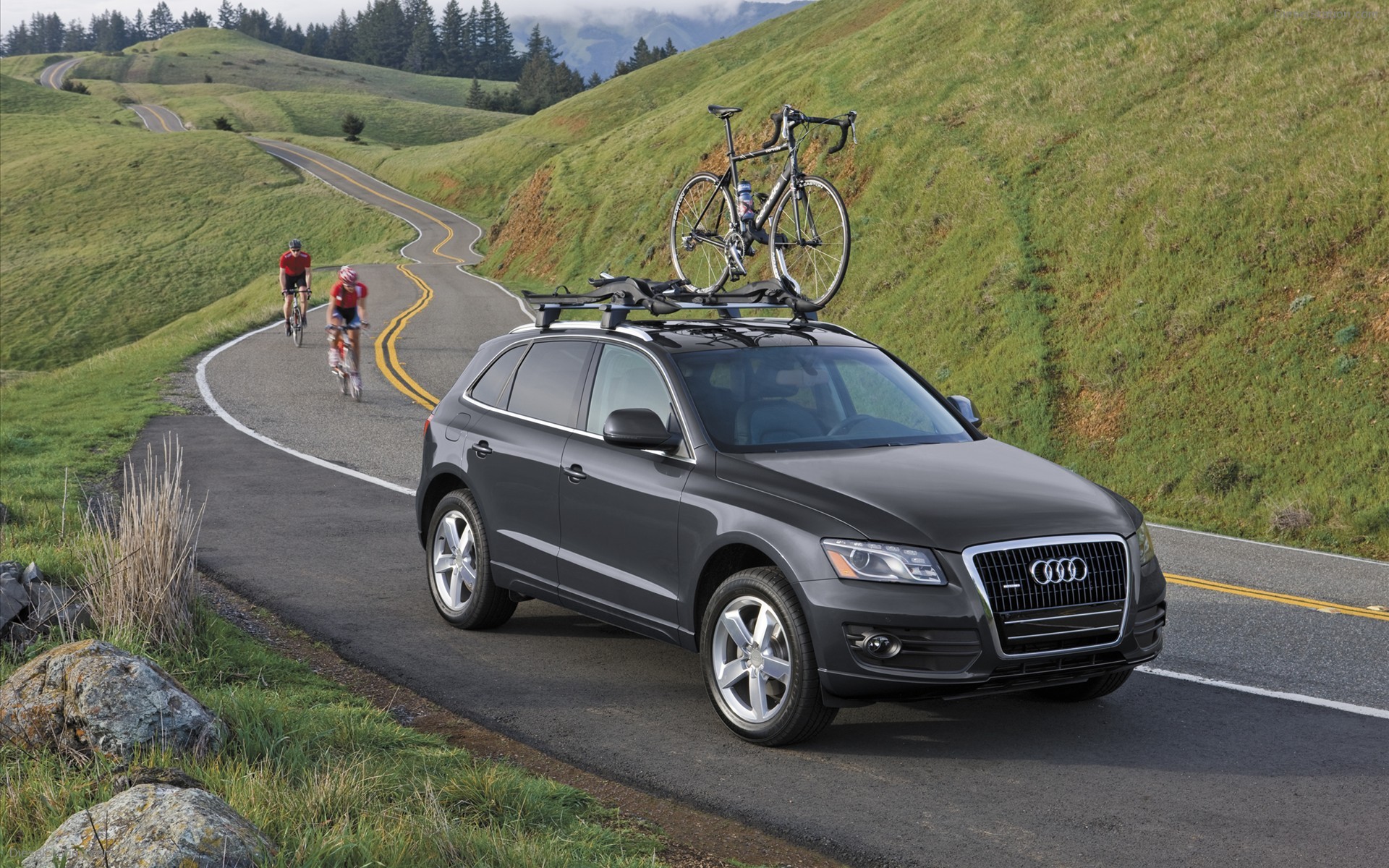 2010 Audi Q5