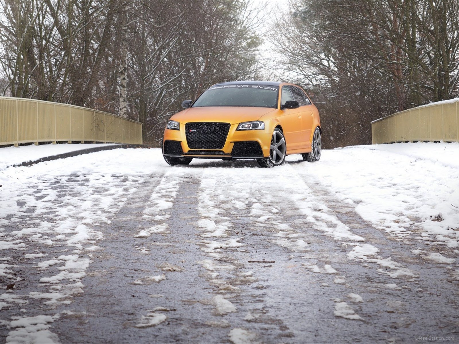 Schwabenfolia Audi RS3 Sportback 2013