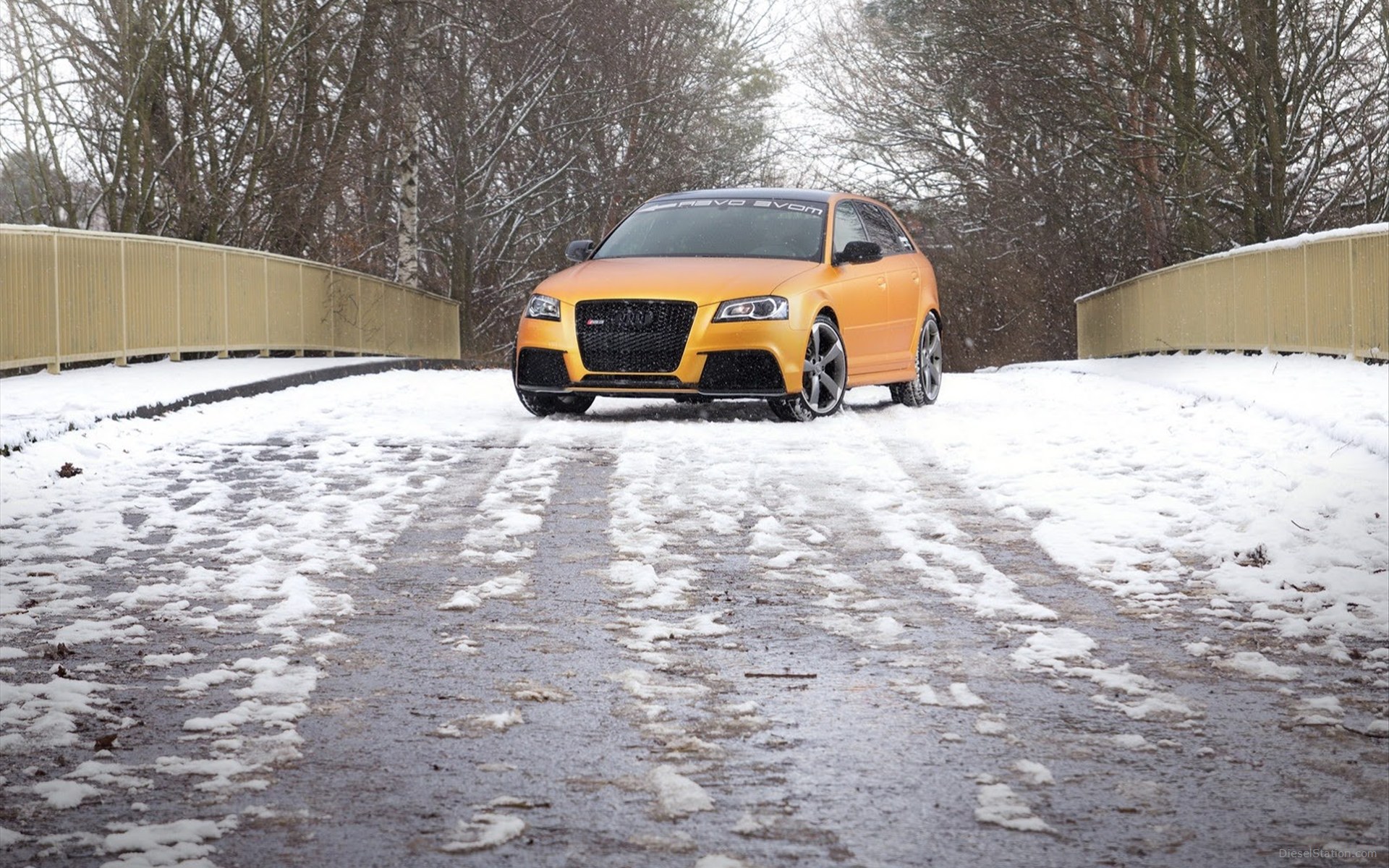 Schwabenfolia Audi RS3 Sportback 2013