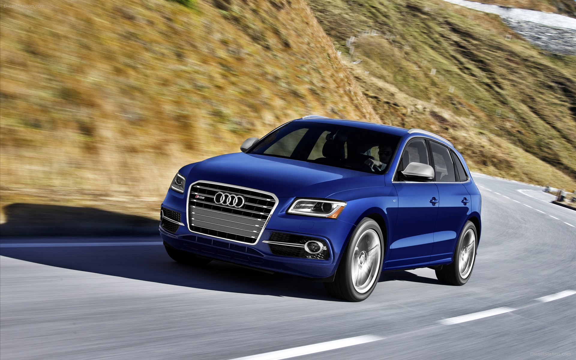 Audi SQ5 2014