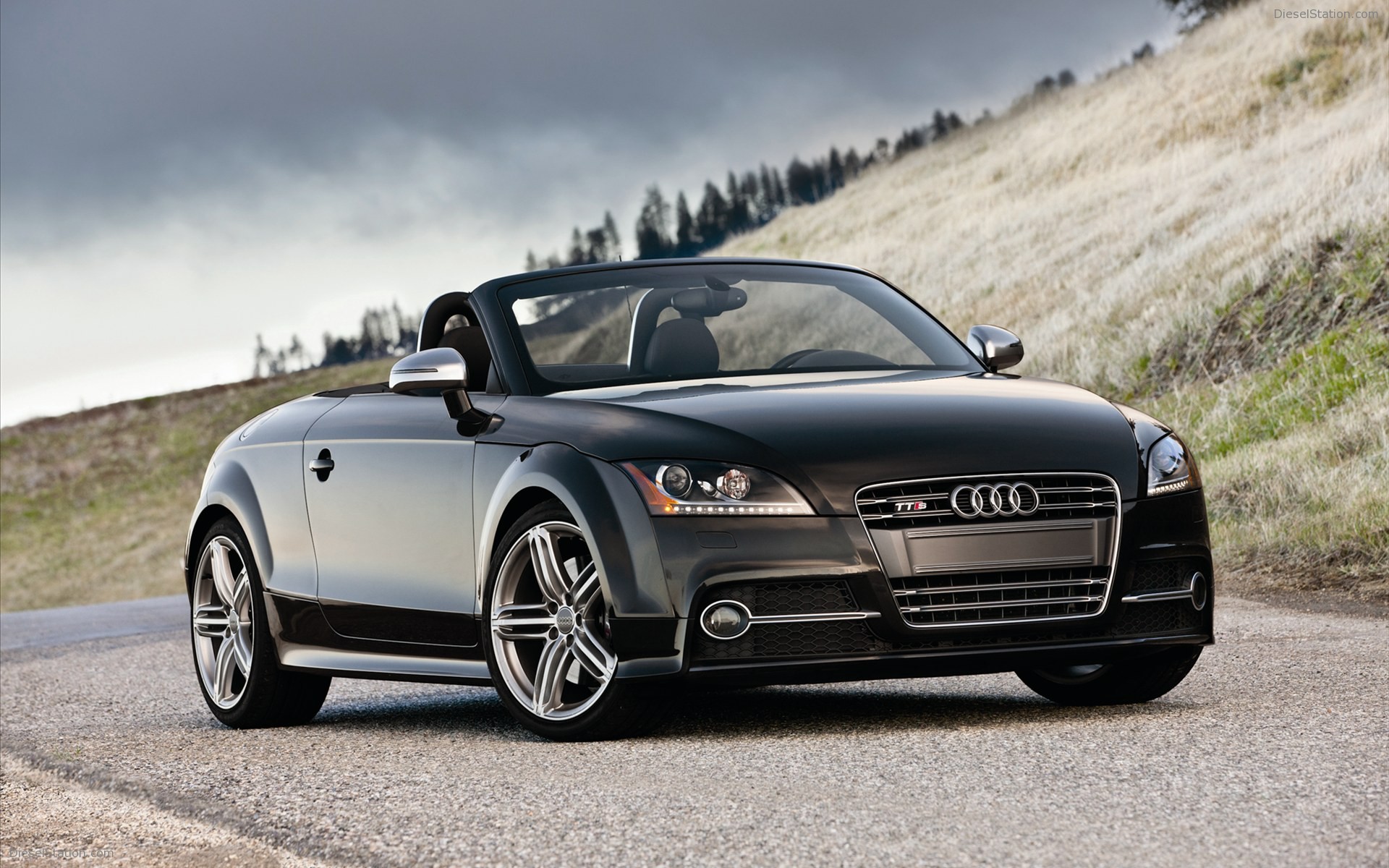 Audi TTS Roadster 2011