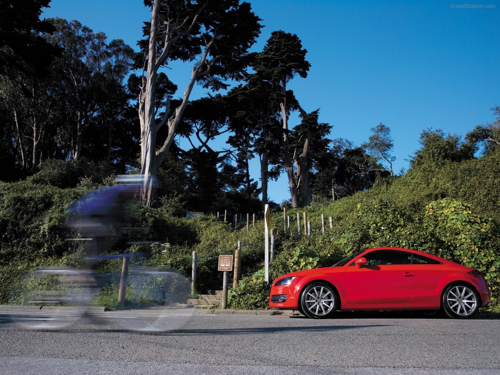Audi TT Coupe 2008 Pictures