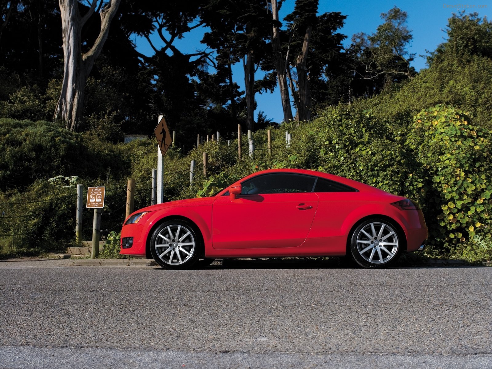 Audi TT Coupe 2008 Pictures