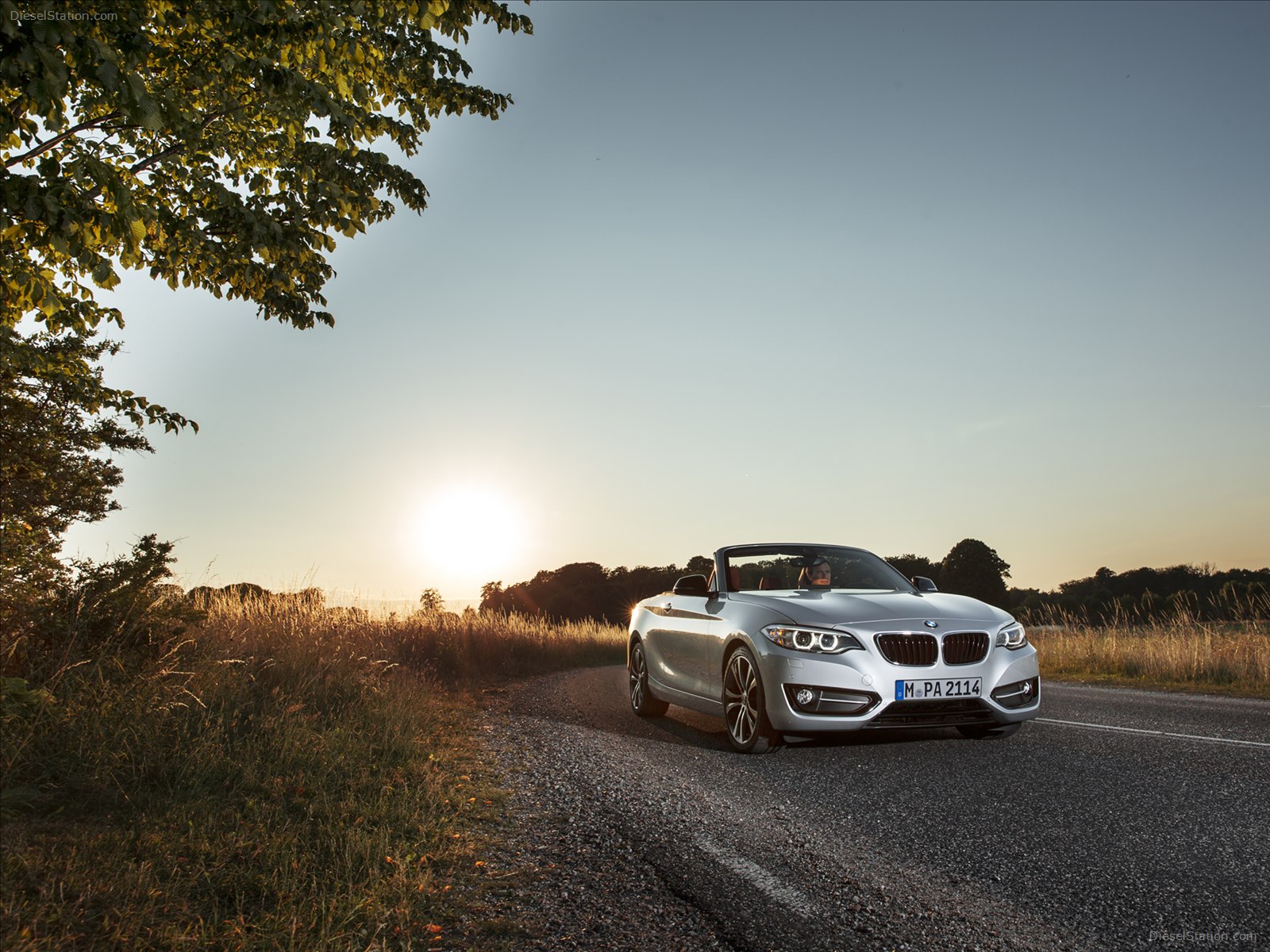 BMW 228i Convertible 2015