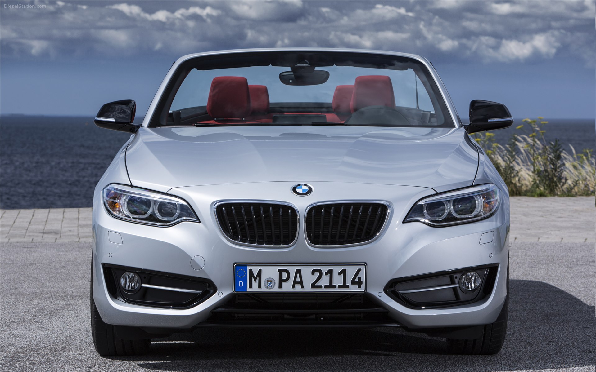 BMW 228i Convertible 2015