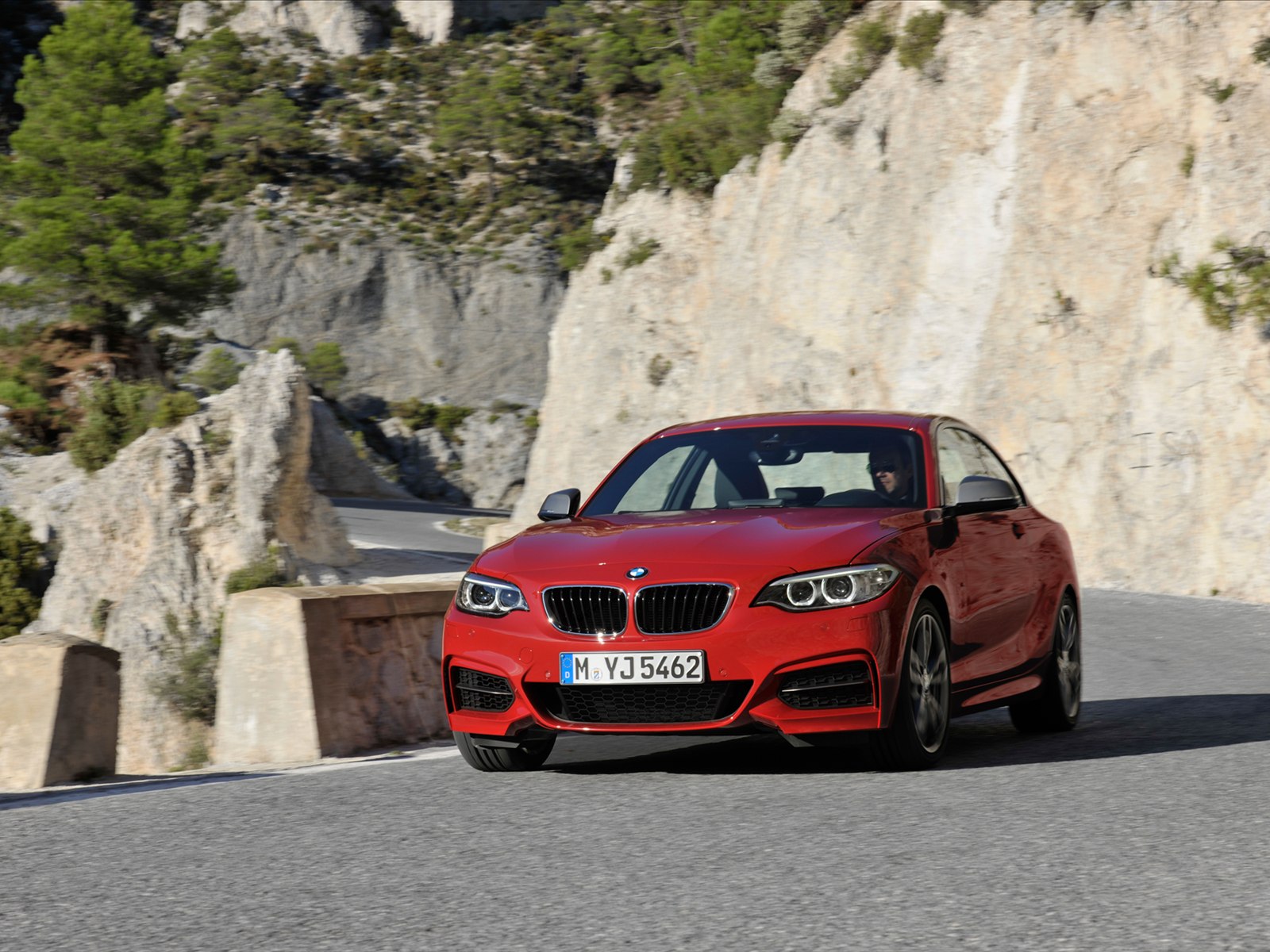 BMW 2-Series Coupe 2014