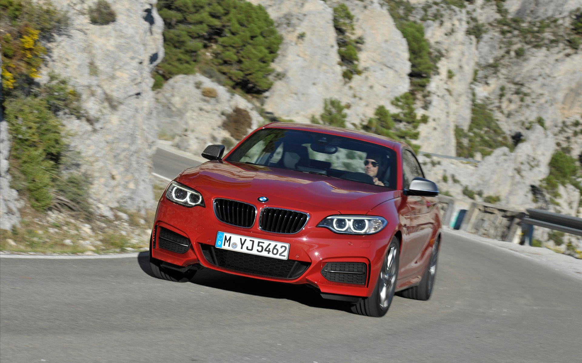 BMW 2-Series Coupe 2014