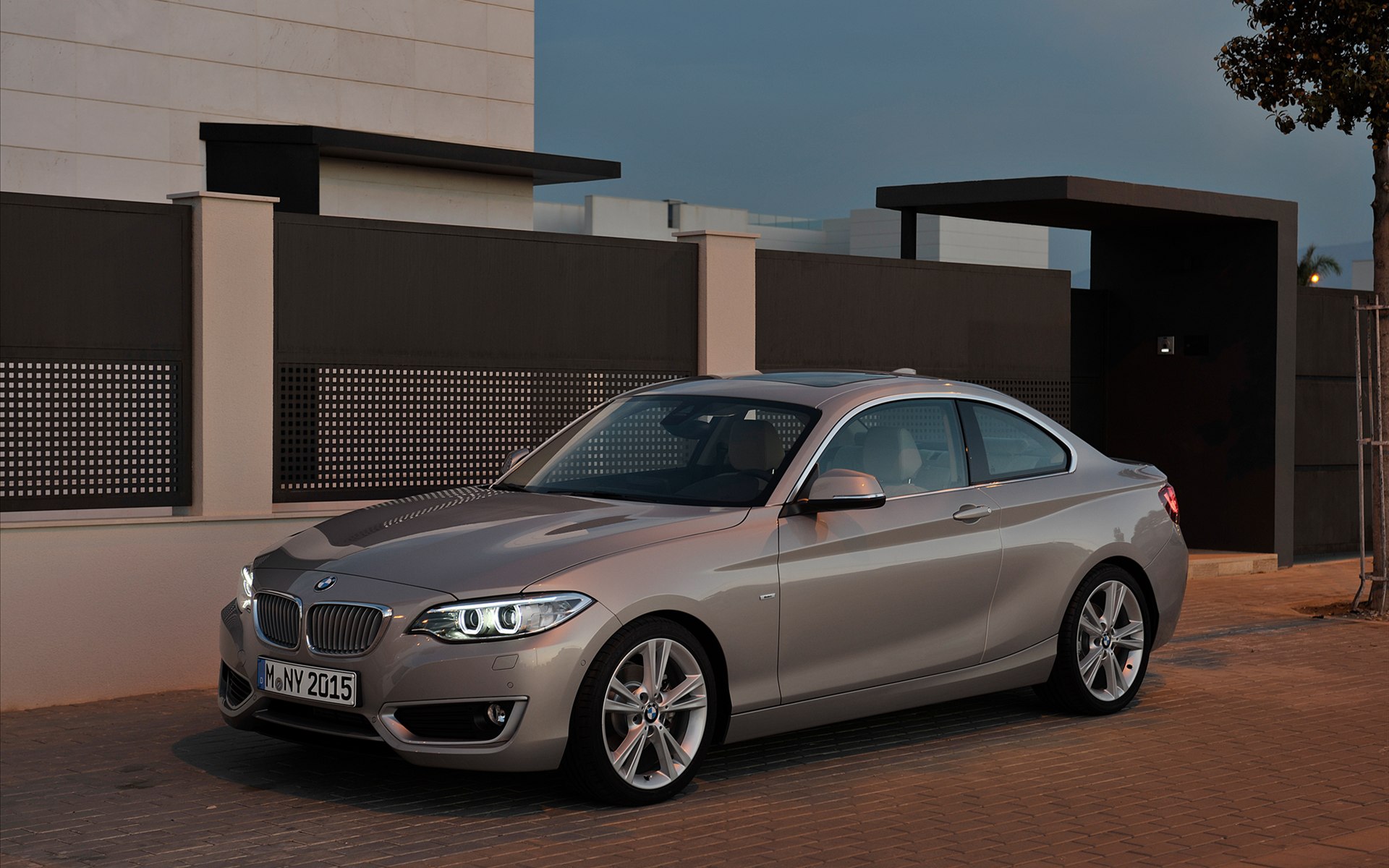 BMW 2-Series Coupe 2014