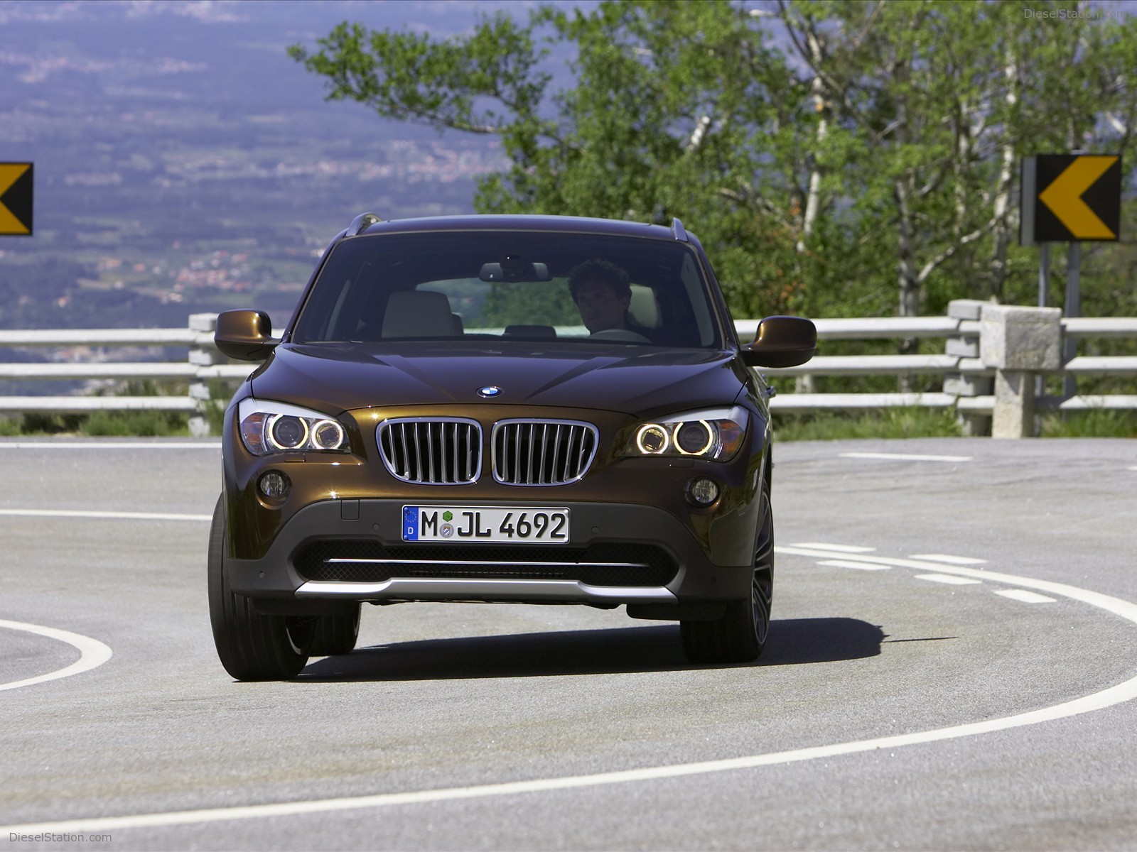 2010 BMW X1