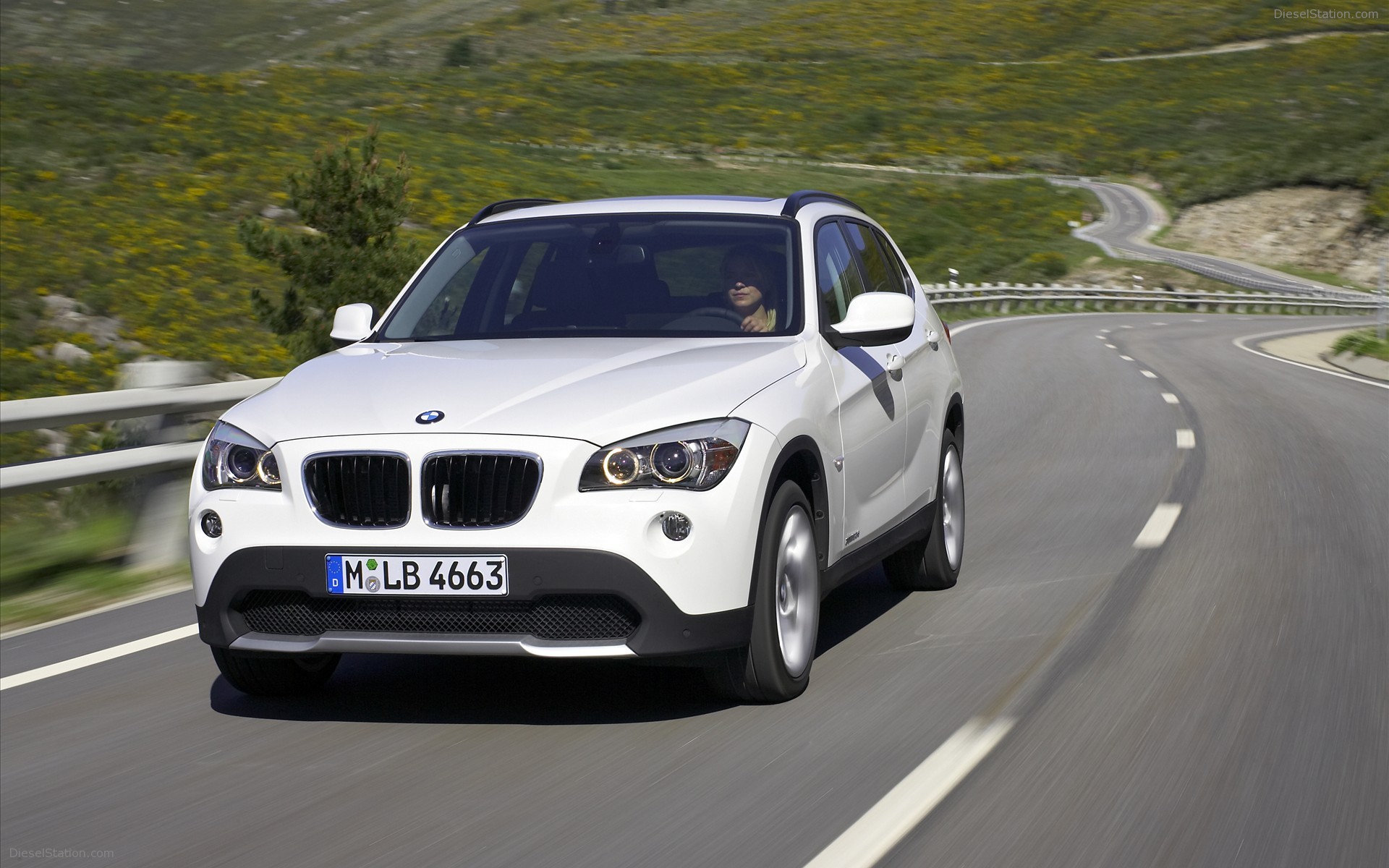 2010 BMW X1