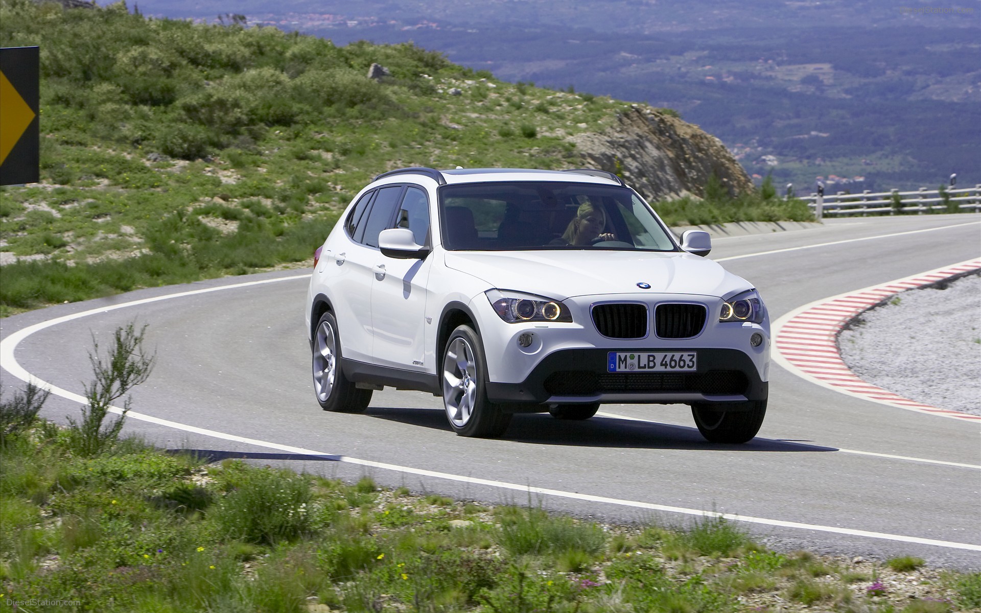 2010 BMW X1