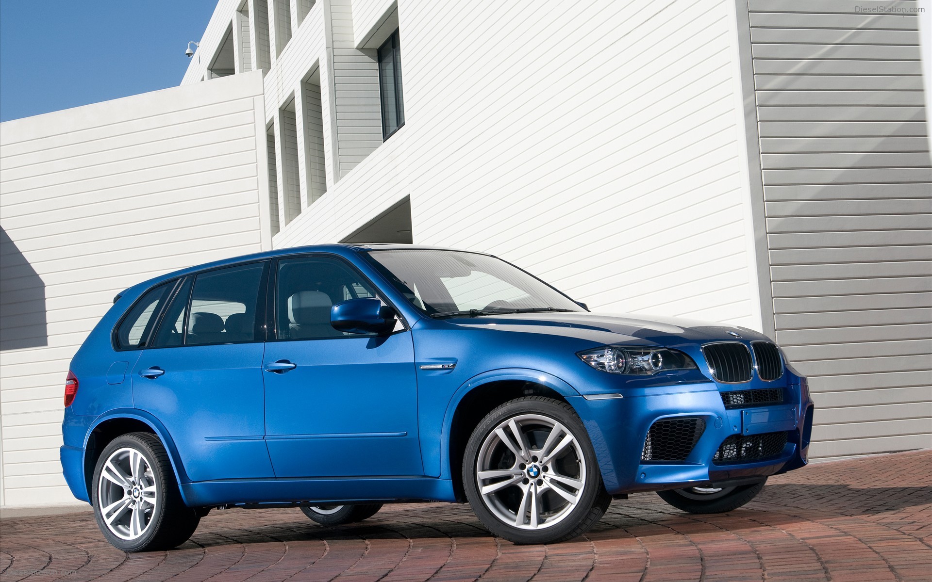 2010 BMW X5 M