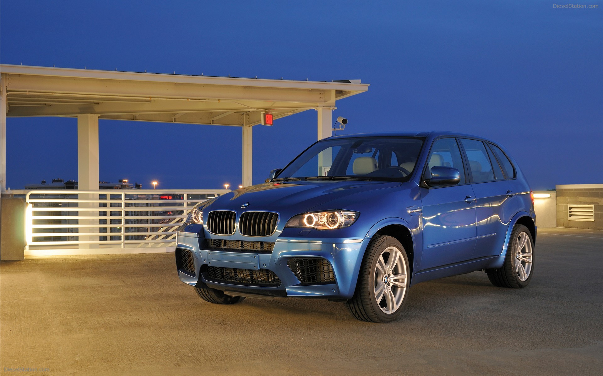 2010 BMW X5 M