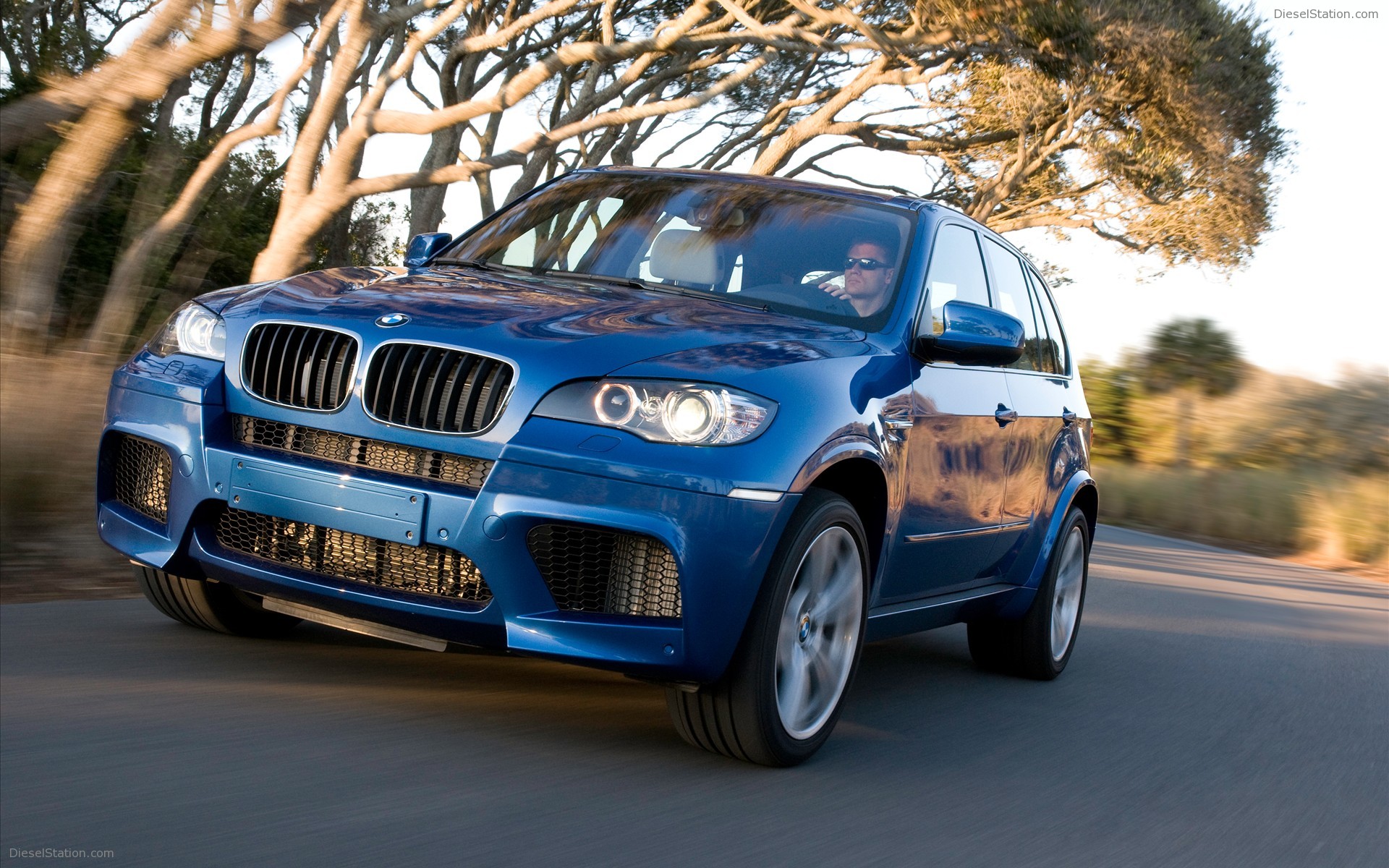 2010 BMW X5 M