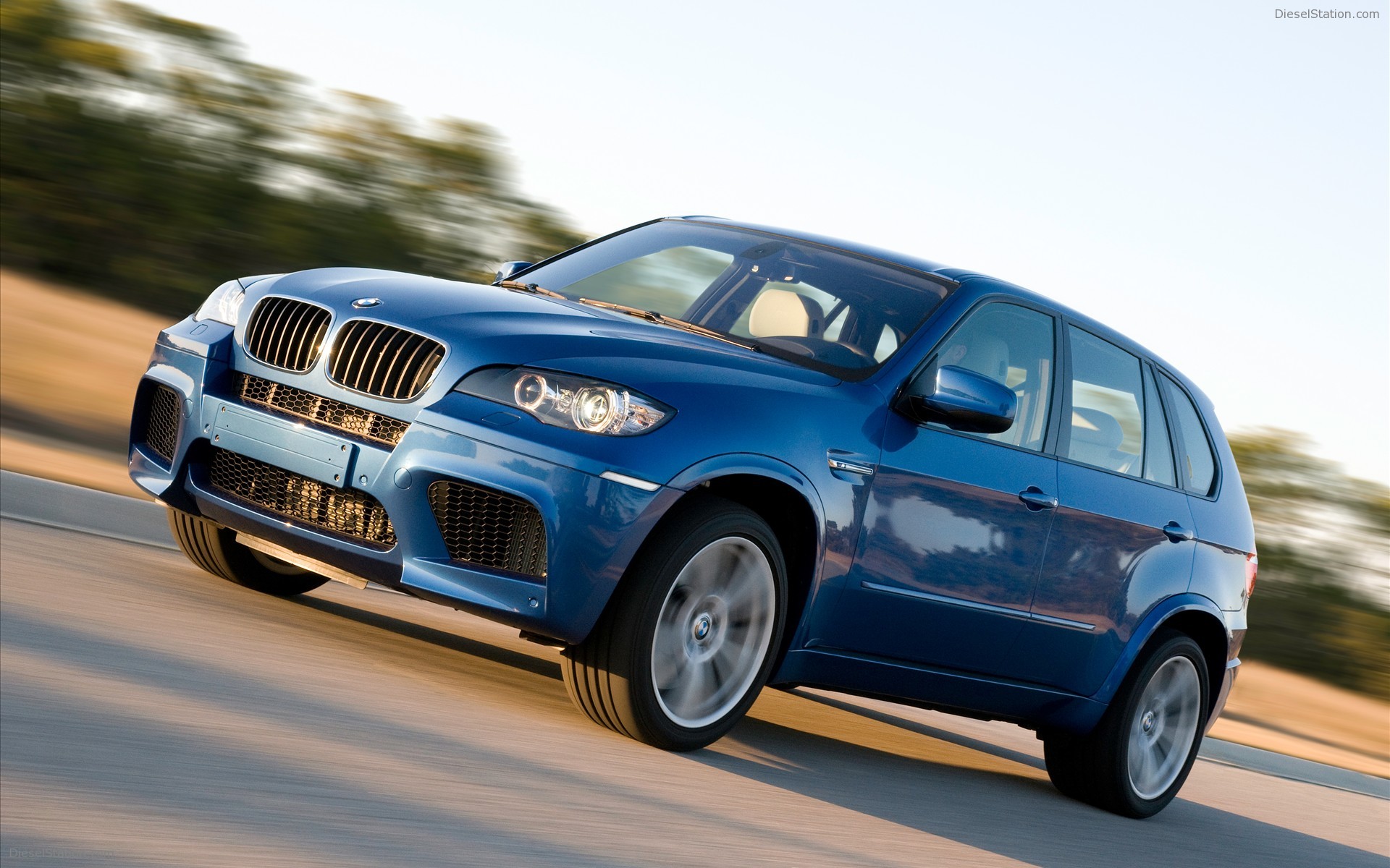 2010 BMW X5 M