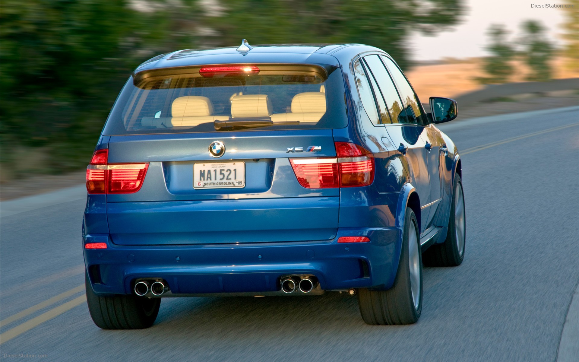 2010 BMW X5 M