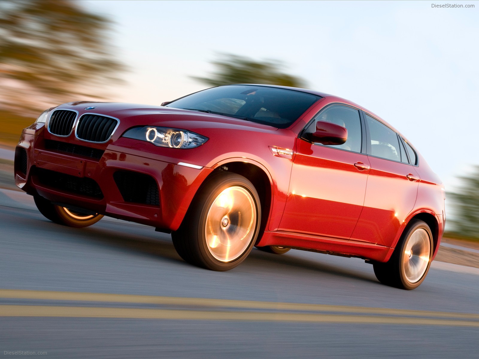 2010 BMW X6 M