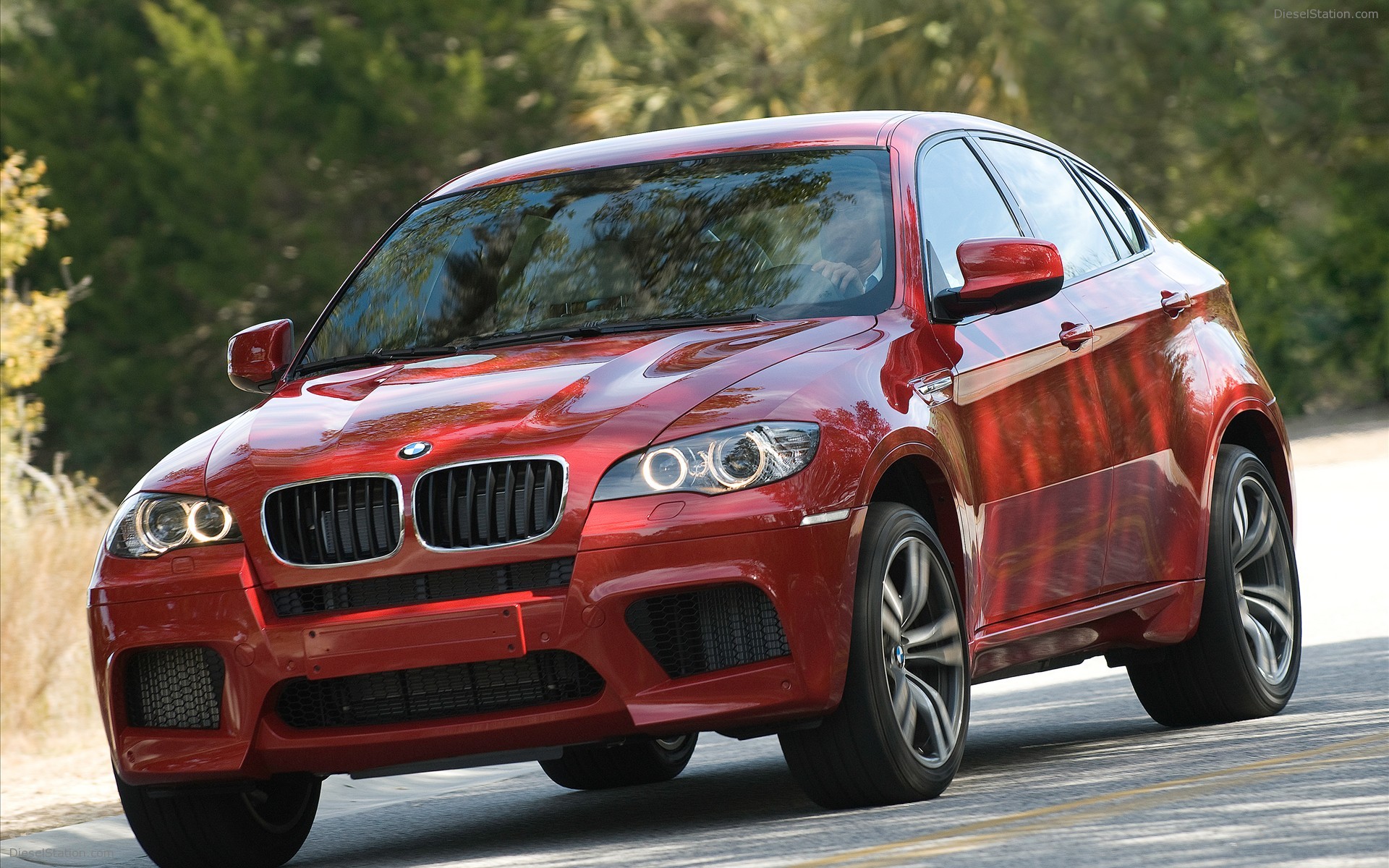 2010 BMW X6 M