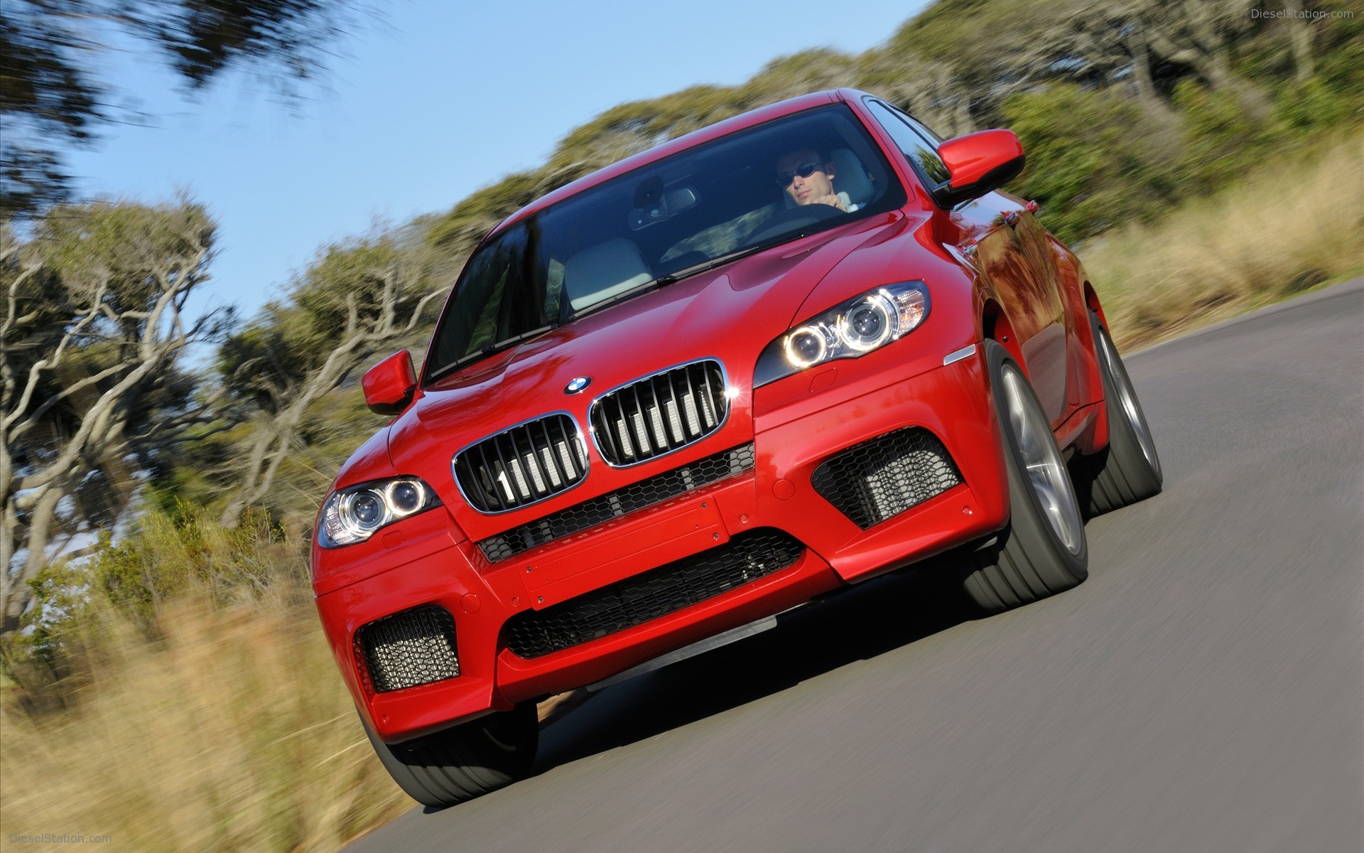 2010 BMW X6 M