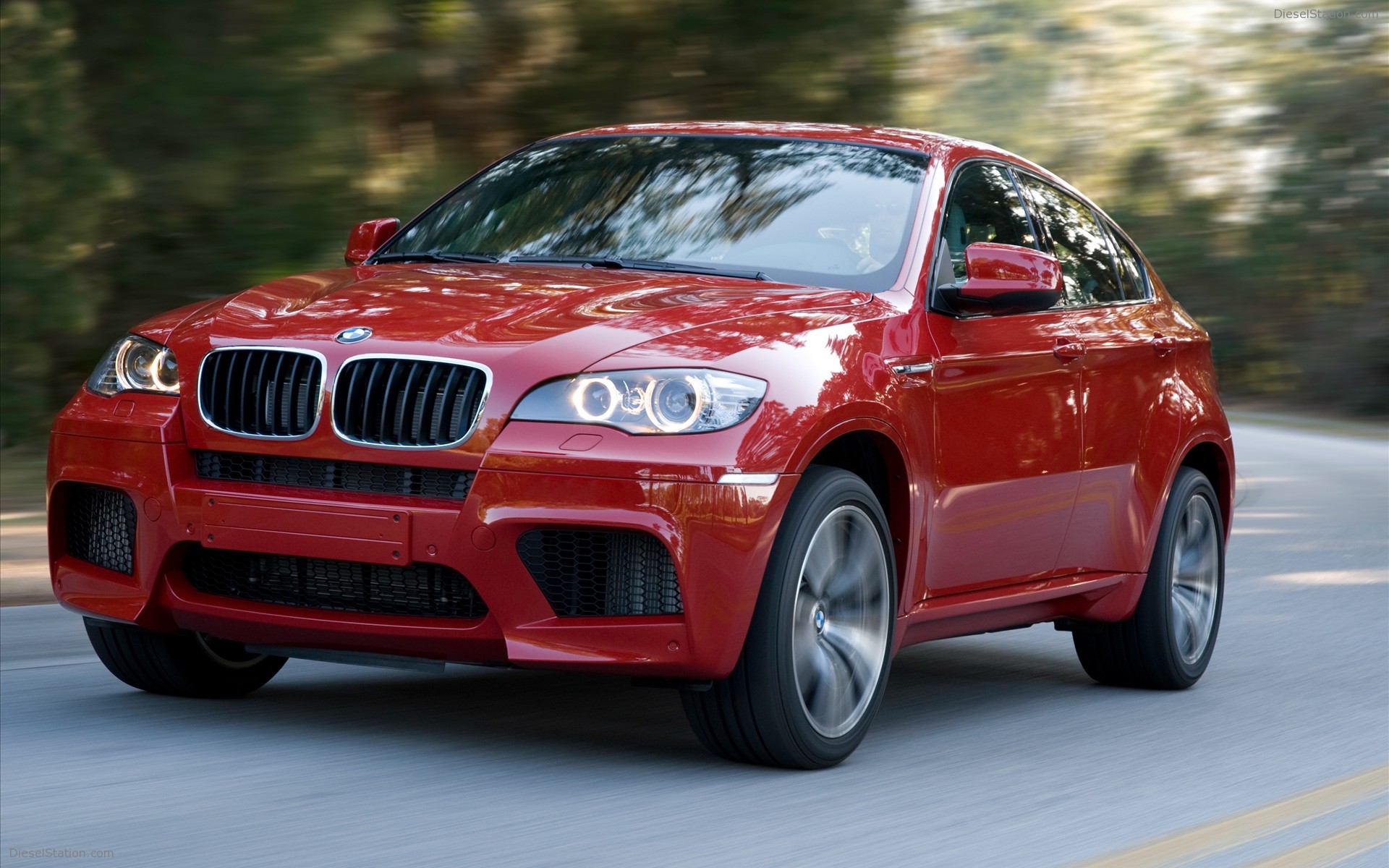 2010 BMW X6 M