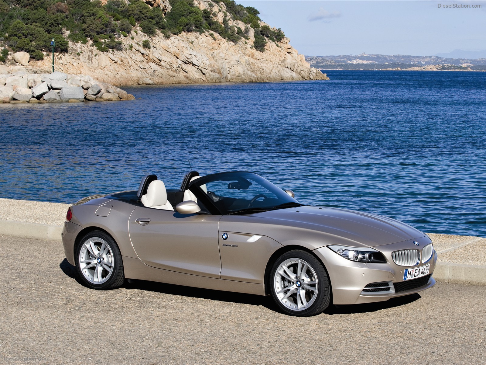 BMW Z4 2010 