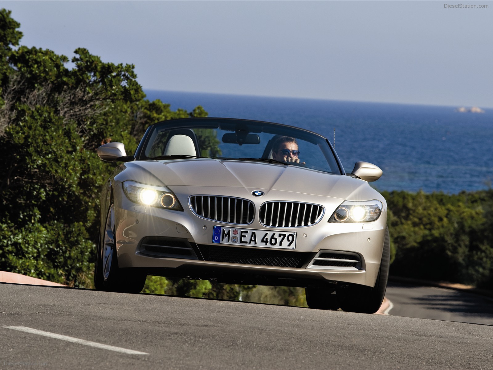 BMW Z4 2010 