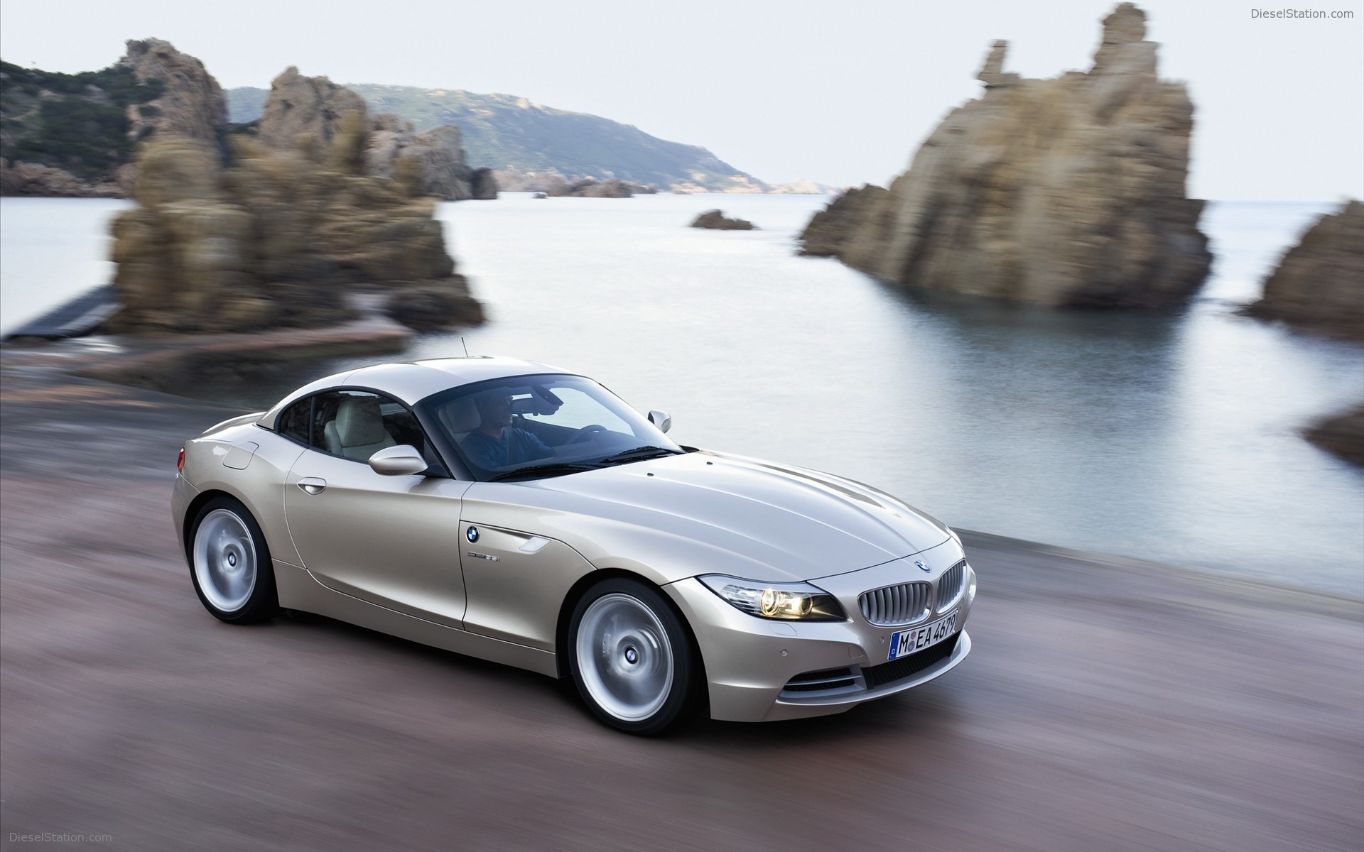 BMW Z4 2010 