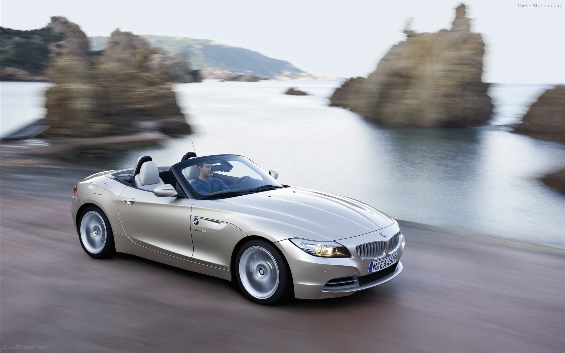BMW Z4 2010 