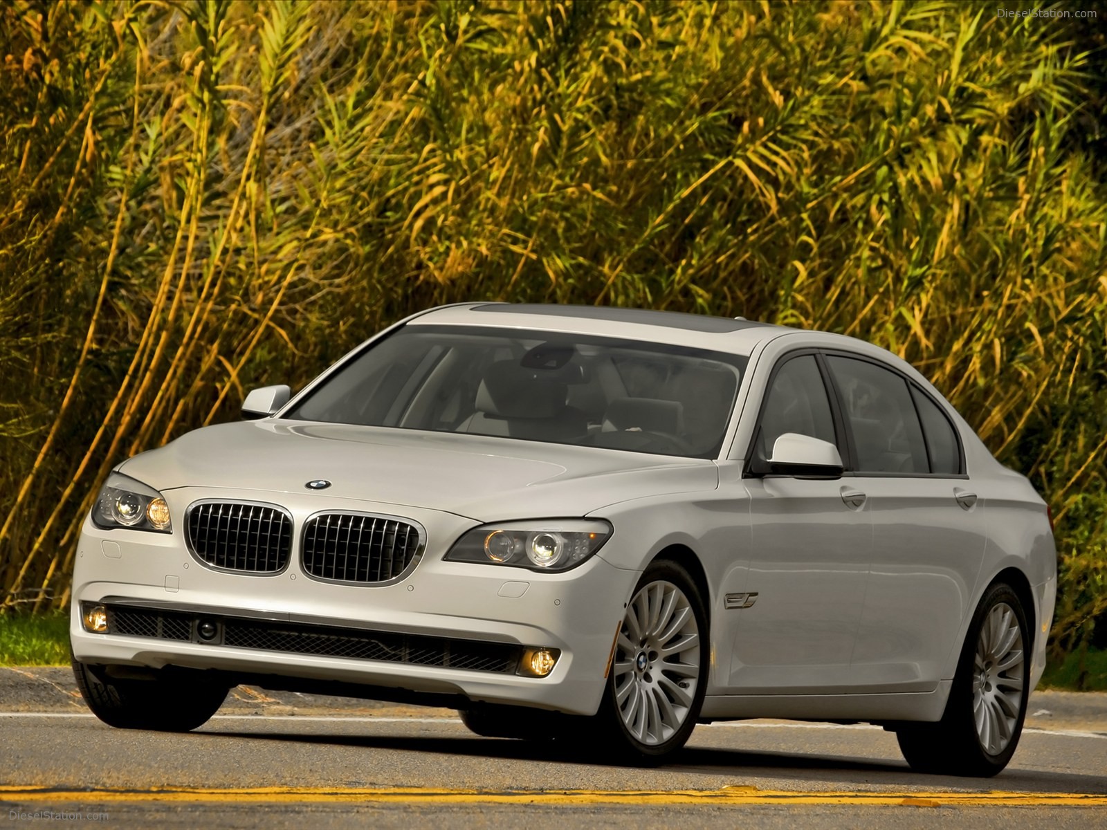 BMW 750Li 2011