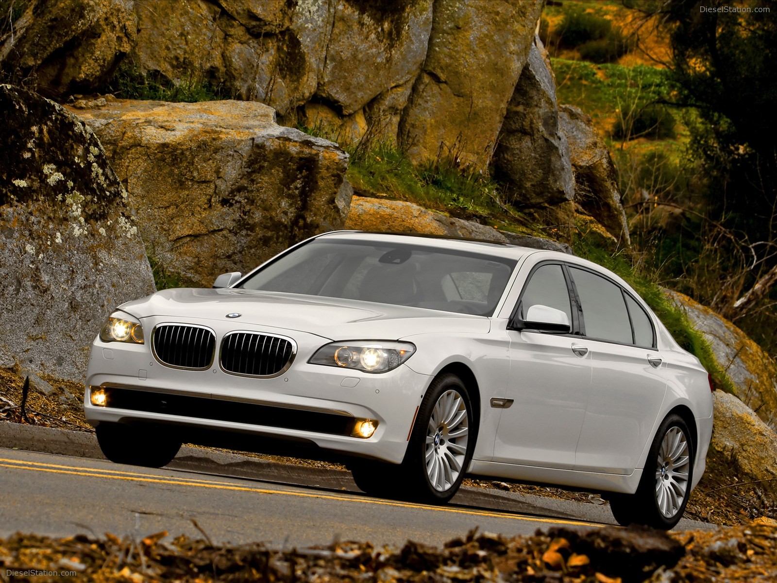 BMW 750Li 2011