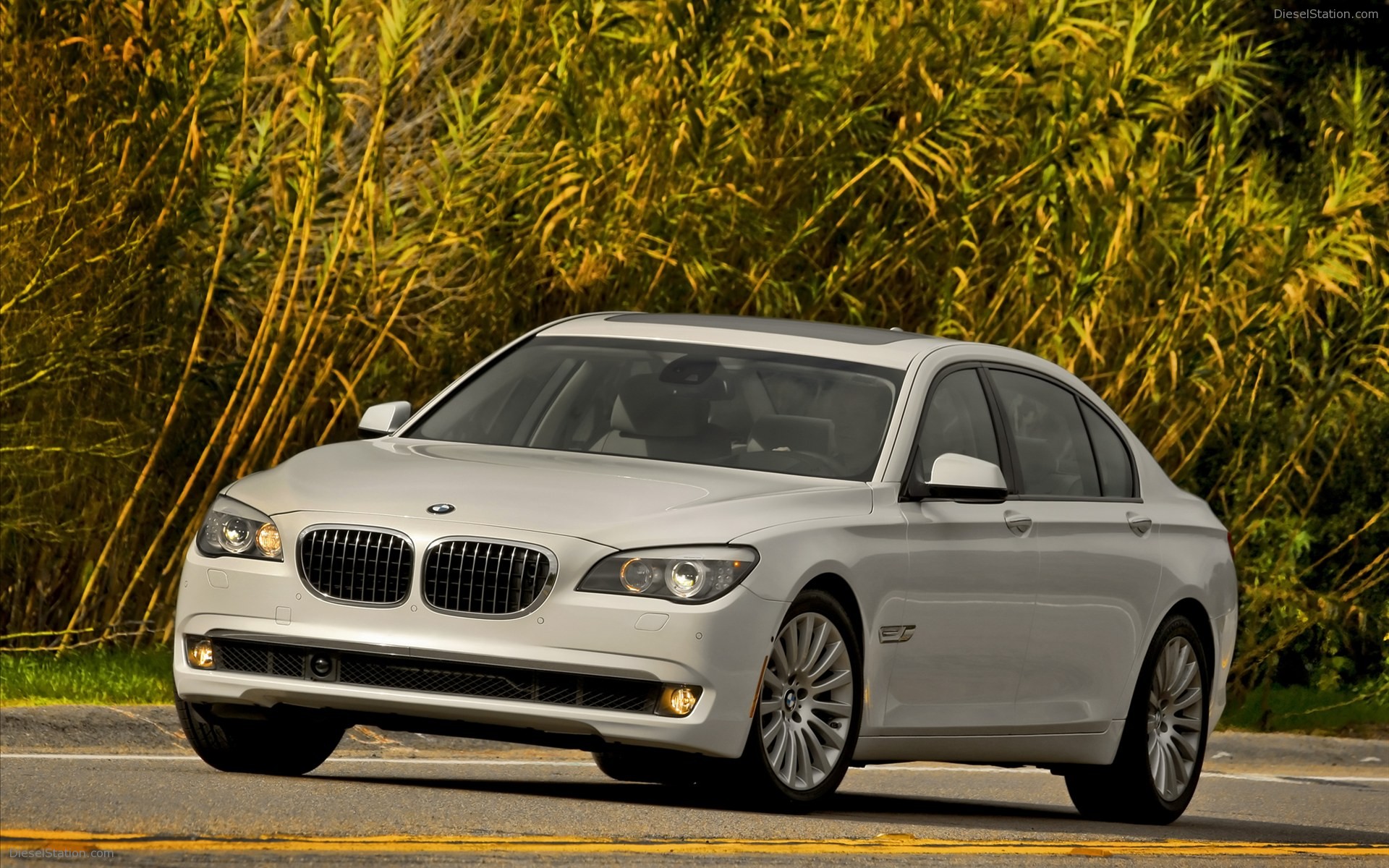 BMW 750Li 2011