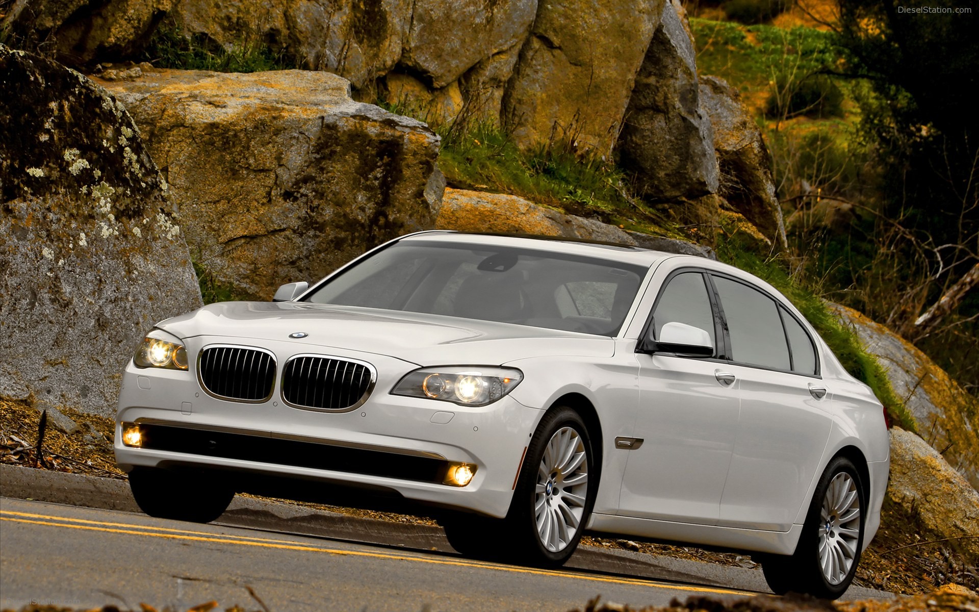 BMW 750Li 2011