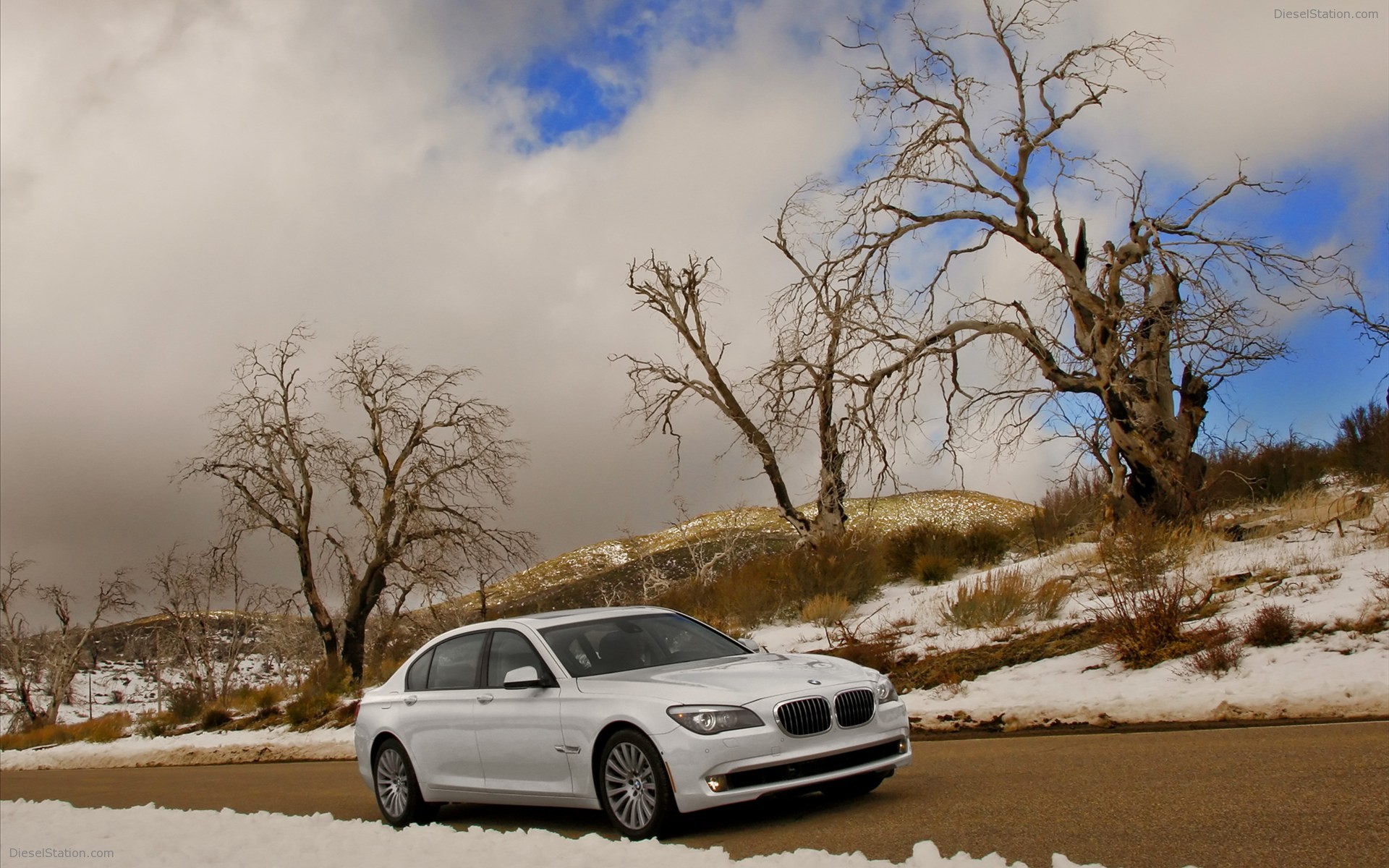 BMW 750Li 2011