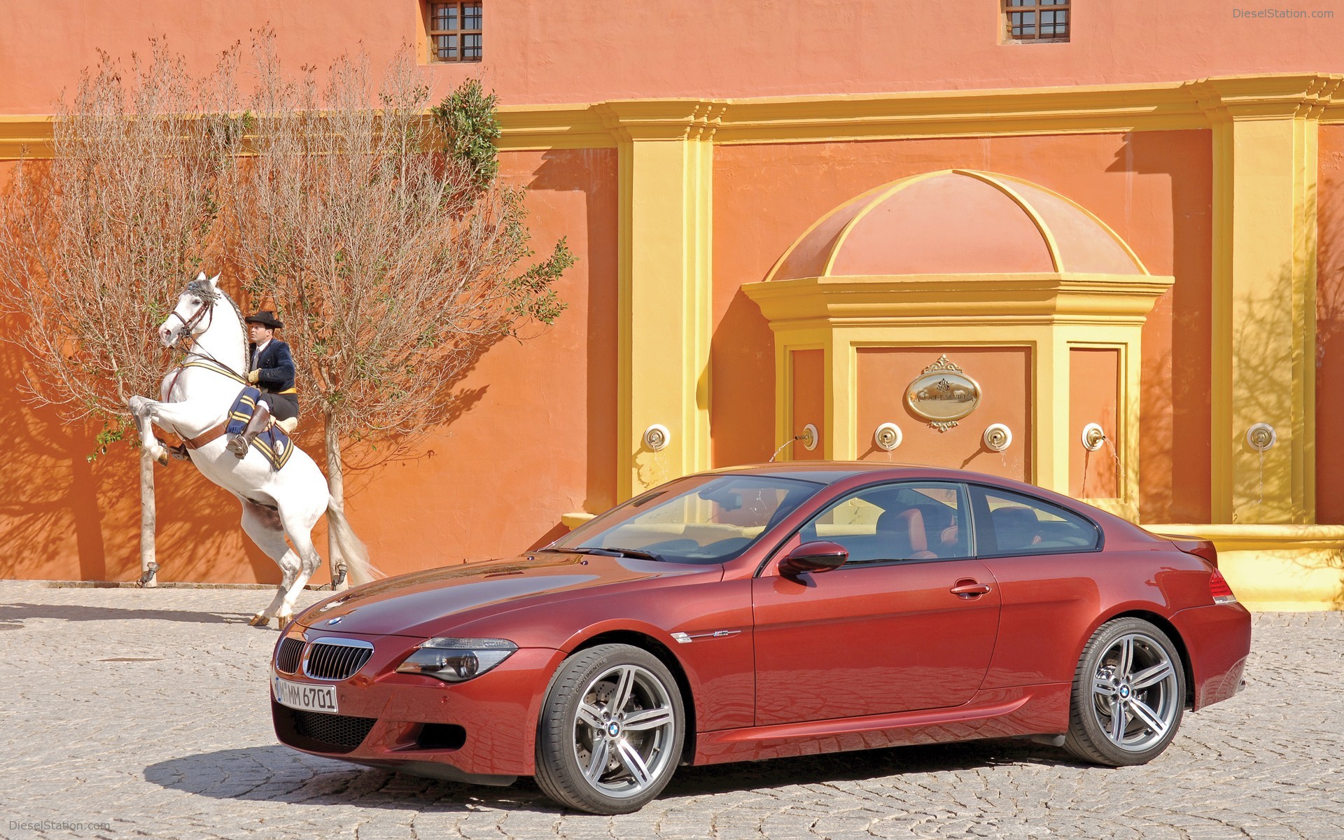 BMW M6