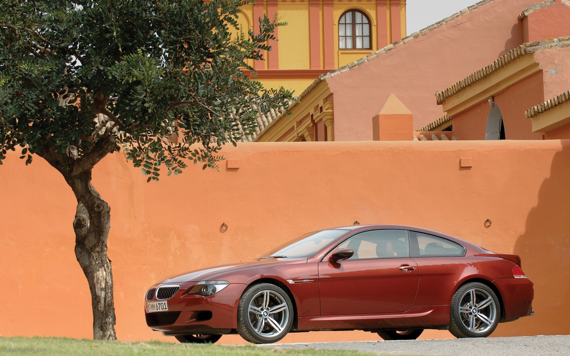 BMW M6