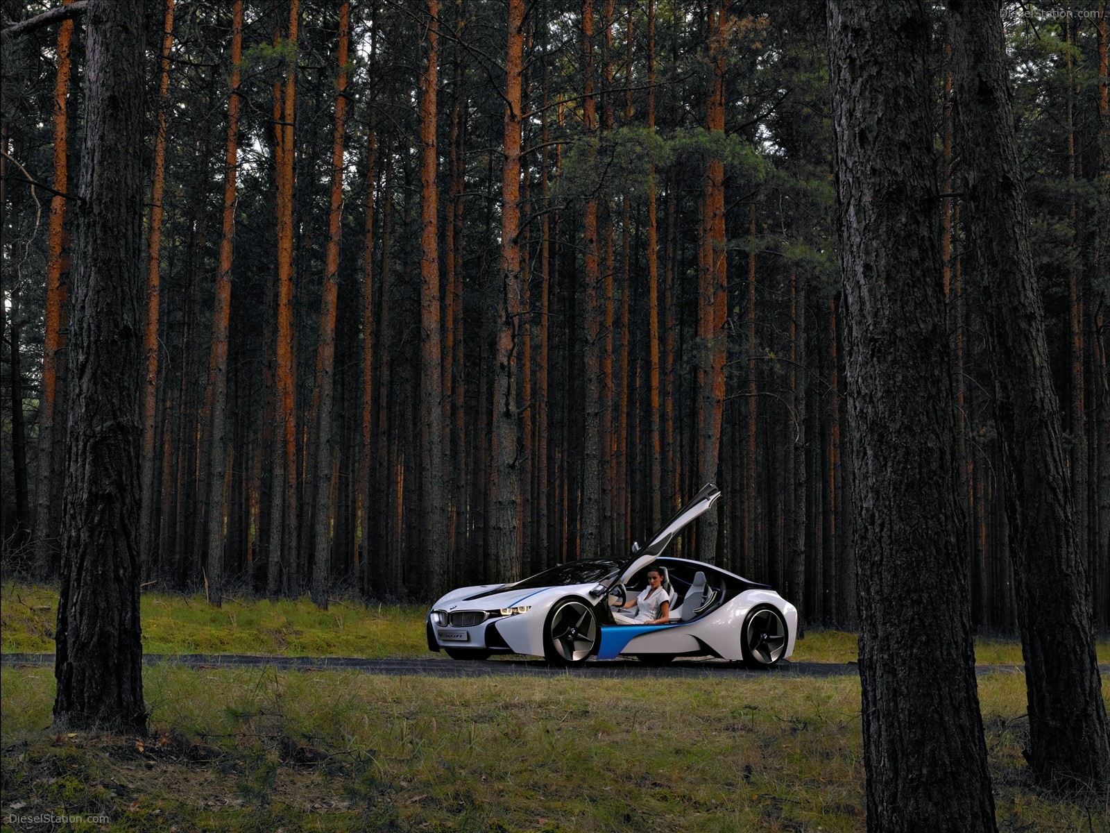 BMW Vision EfficientDynamics Concept