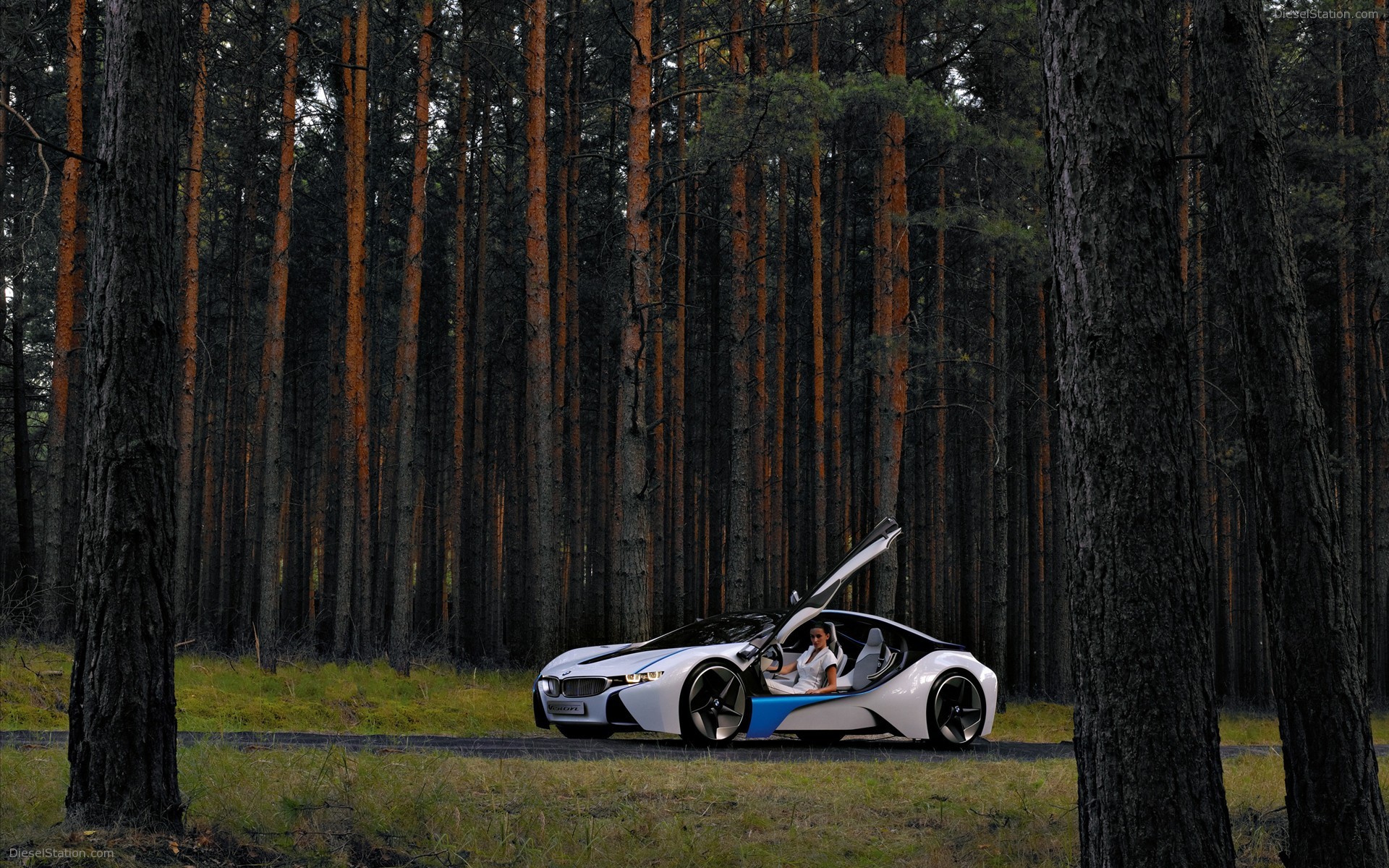 BMW Vision EfficientDynamics Concept