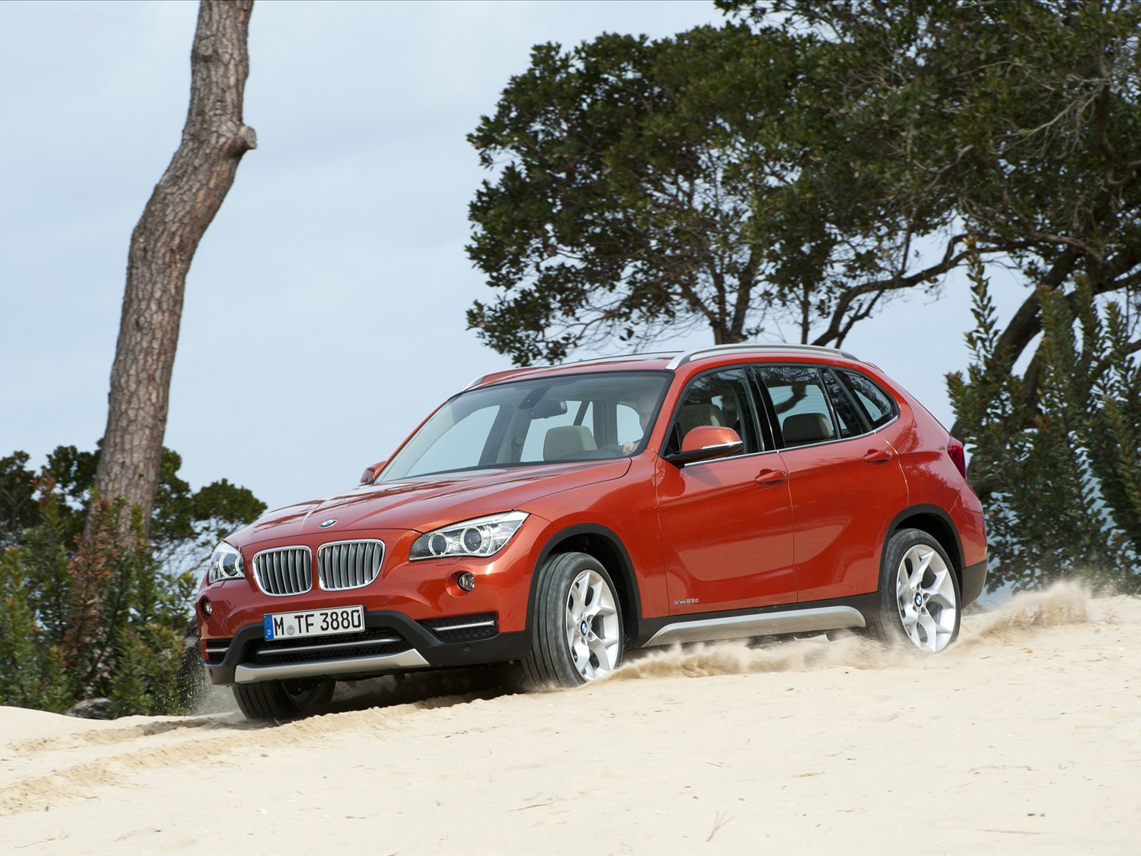 BMW X1 2013