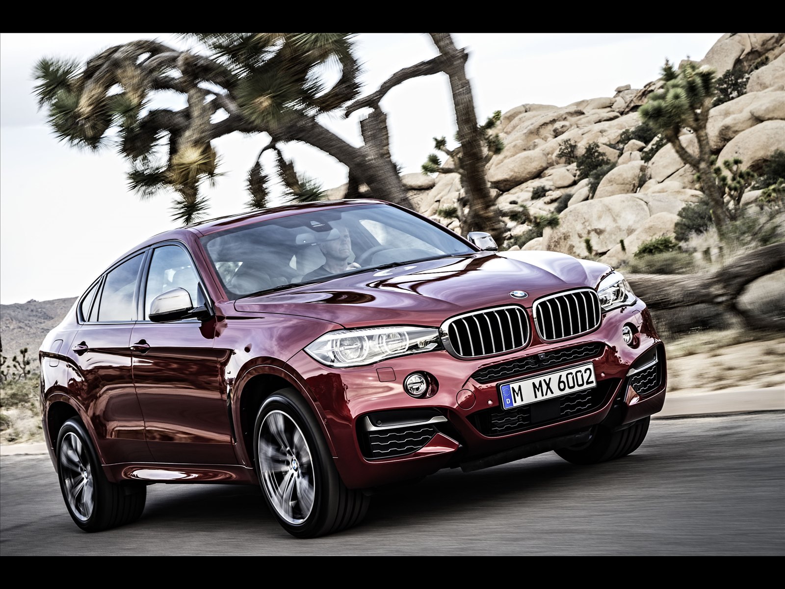 BMW X6 2015