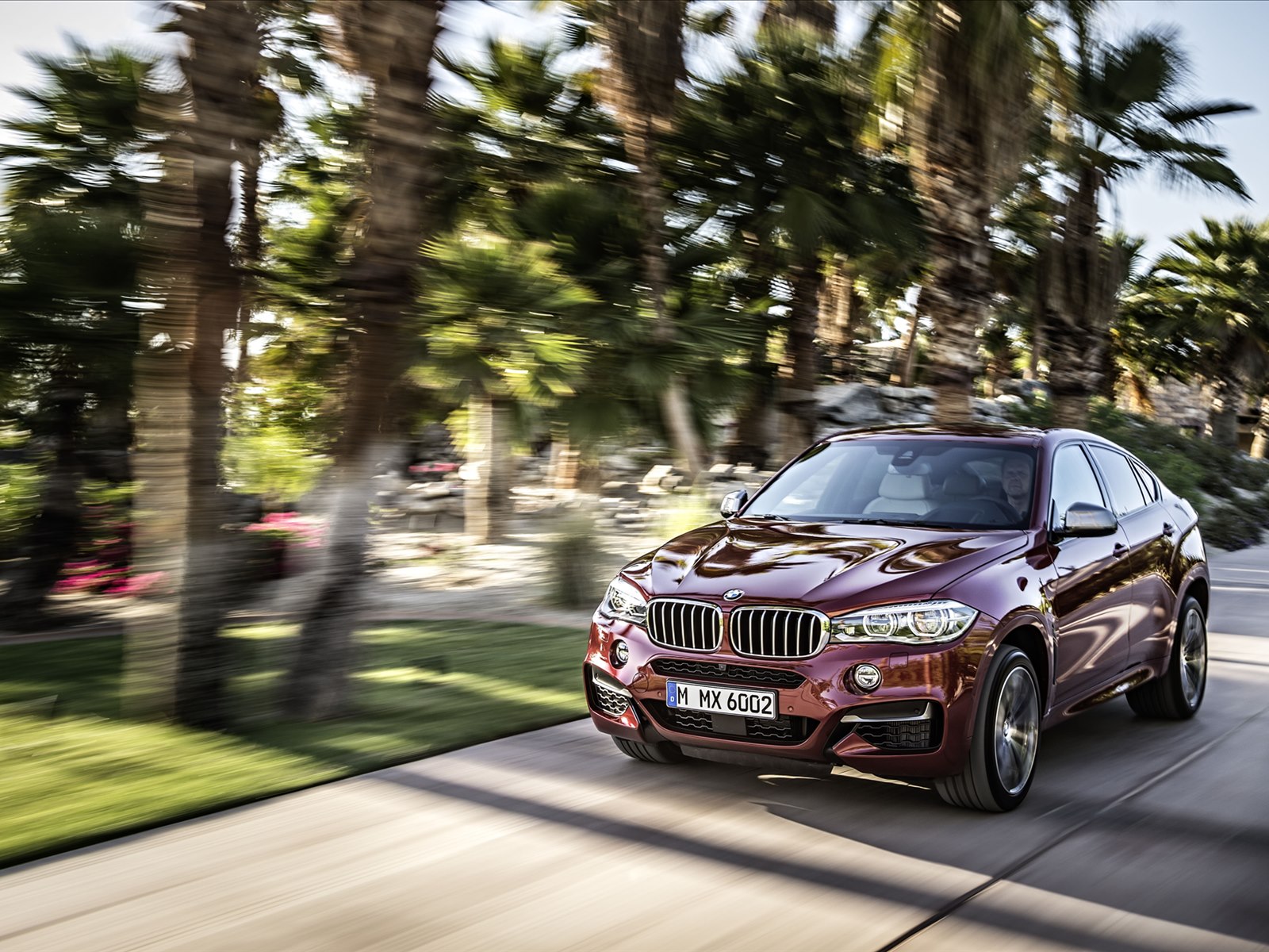BMW X6 2015