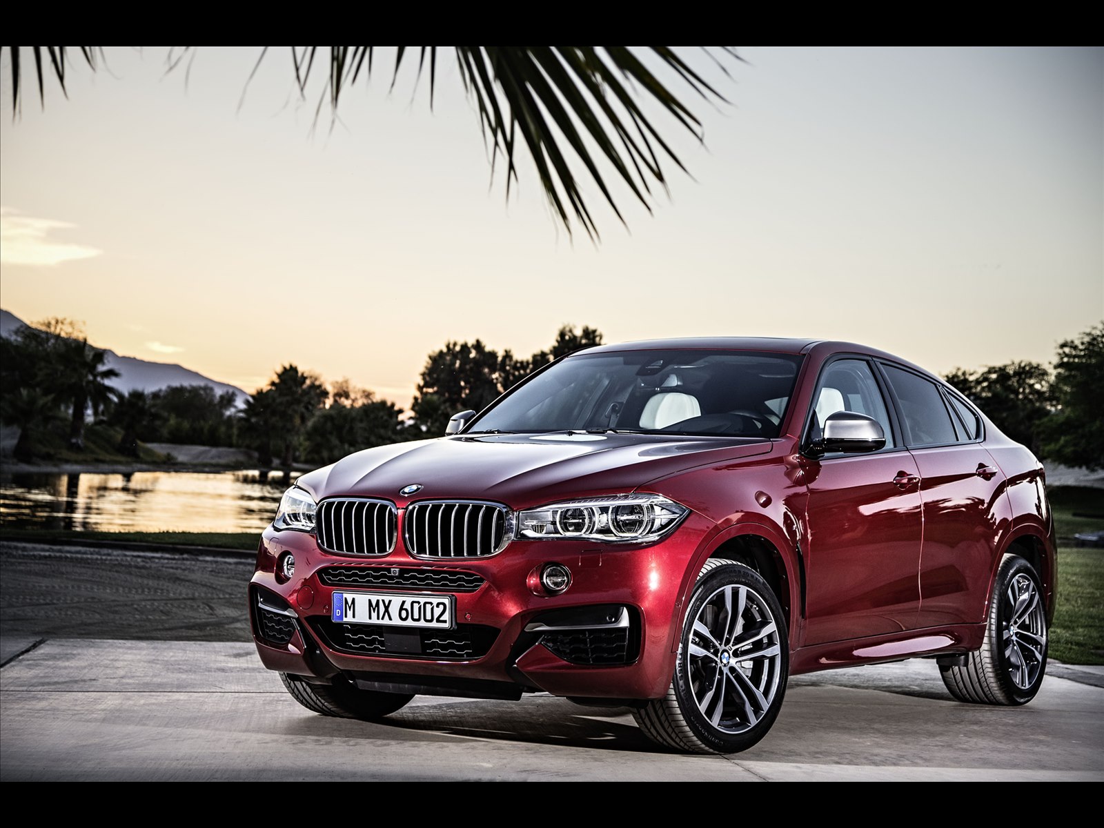 BMW X6 2015