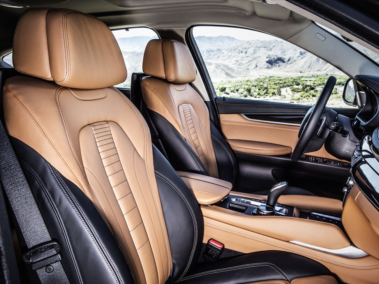 BMW X6 2015
